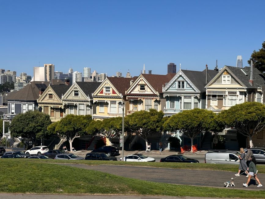 Painted Ladies at Alamo Square