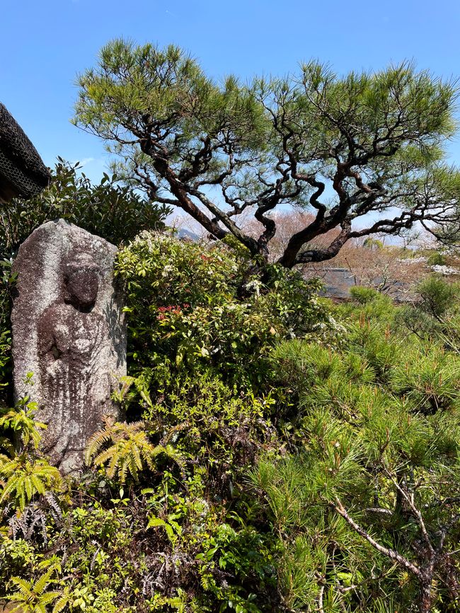 Parque en Arashiyama