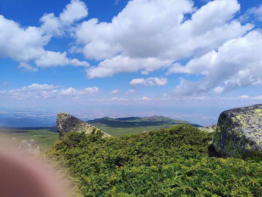 View with boomer finger