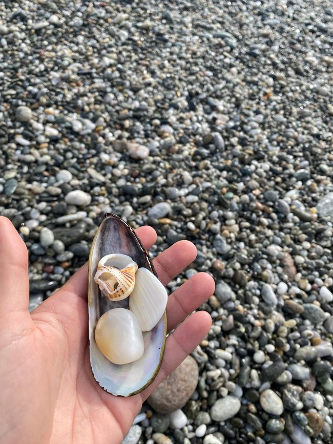 Da Hokitika a Carters Beach