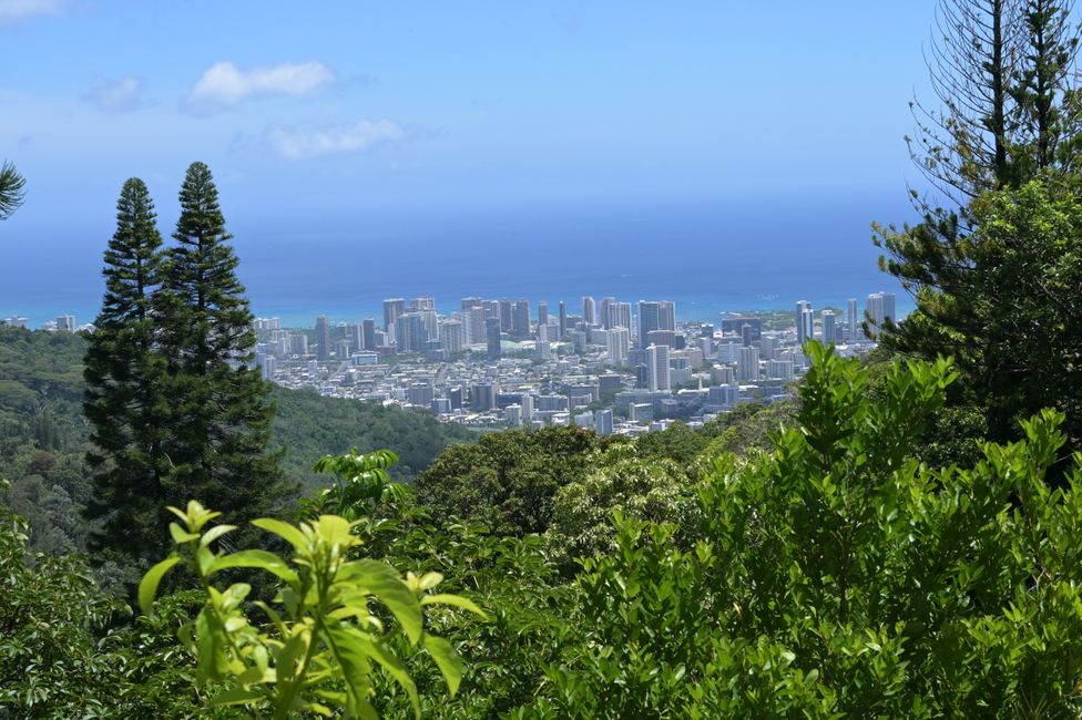 Honolulu - Tantalus Drive