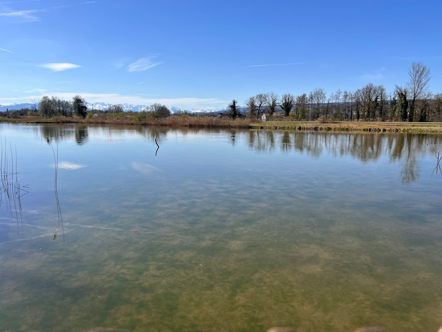 Zum ersten Mal fahre ich dem Flachsee entlang.