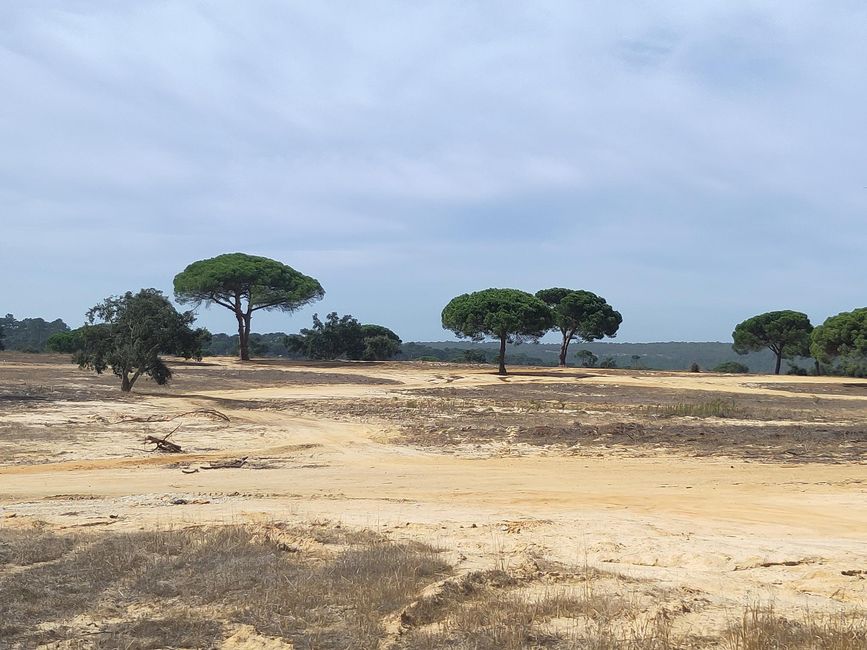 Cabo Espichel