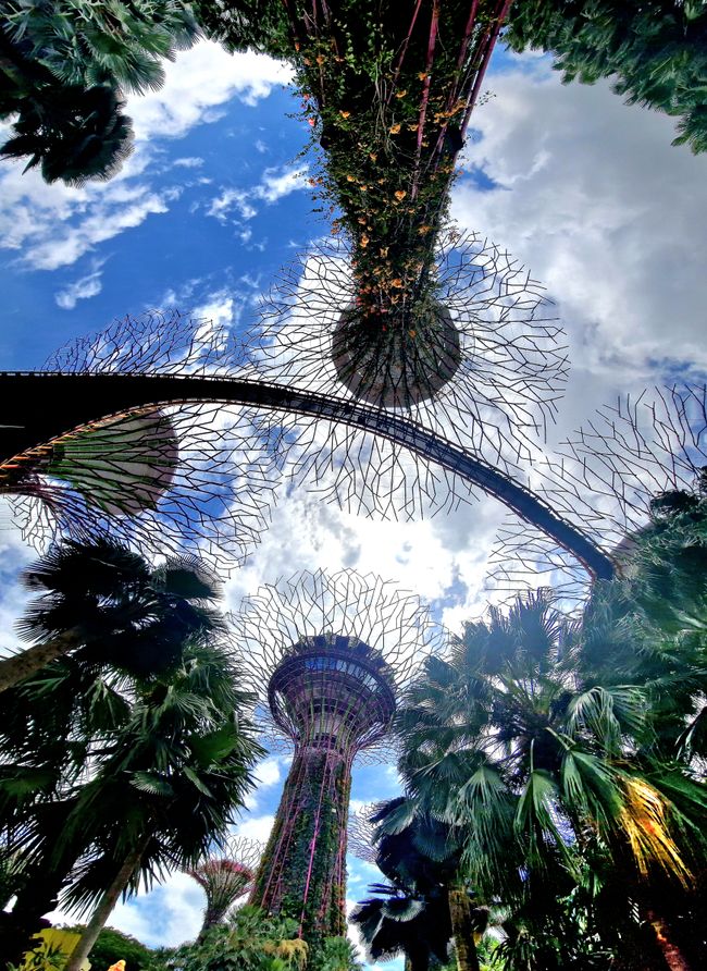 Gardens by the bay