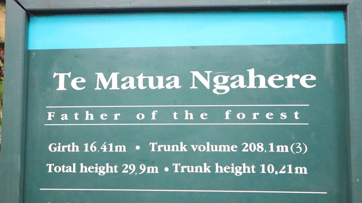 Te Matua Ngahere
