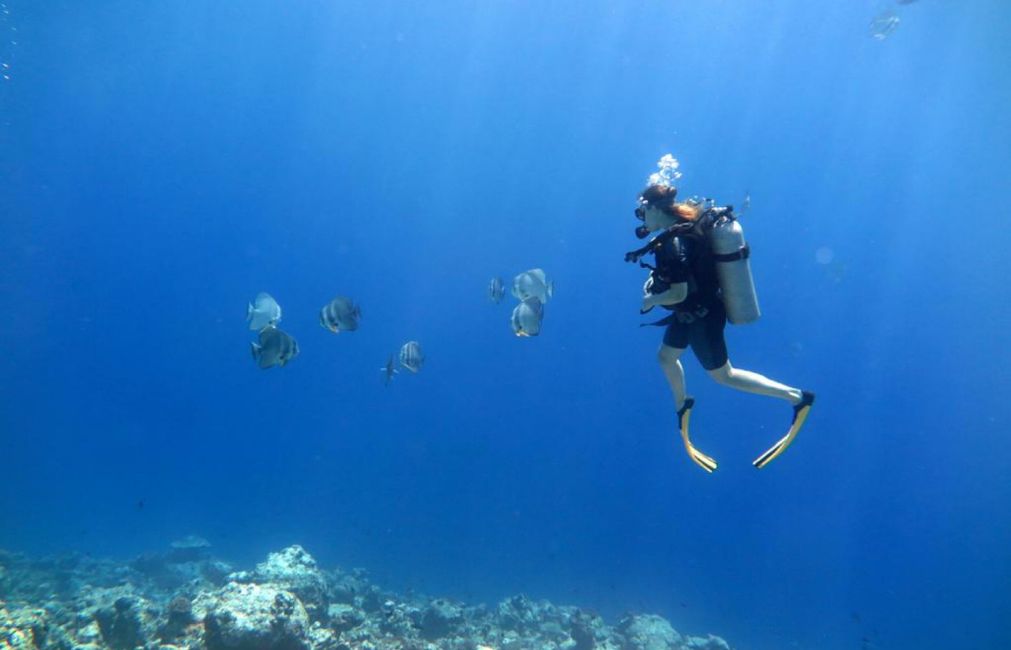 10 Días en Thundufushi - Un Viaje a Través de Aguas Azules, Jardines de Coral y Momentos de Quietud