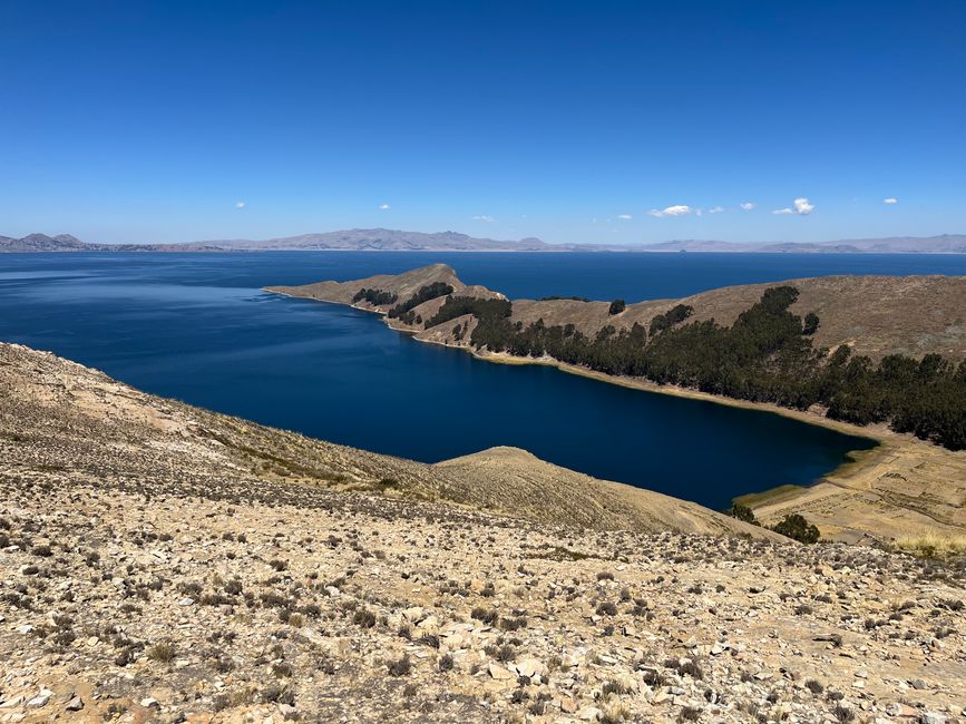Panorami