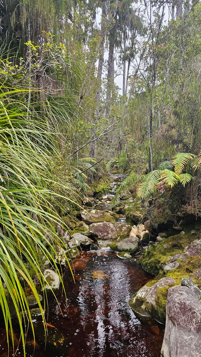 Wānaka - Haast - Gillespies Beach