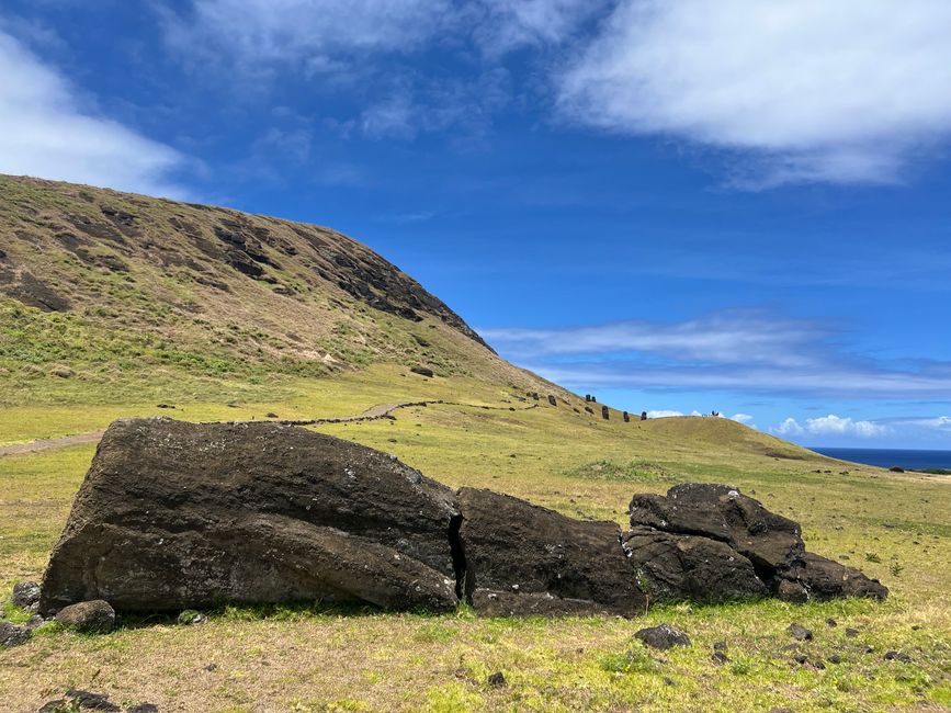 12: auf dem Weg dorthin liegt ein - wohl auf dem Transport zu seinem finale Ziel - entzwei gebrochenen Moai