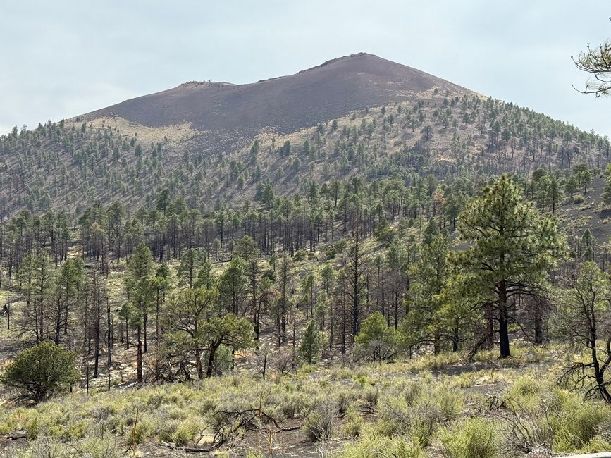 Sunset Crater Volcano