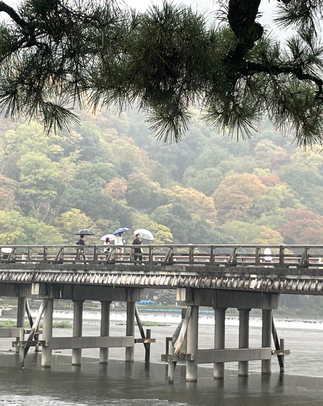 11.Kapitel: Arashiyama im Dauerregen und die Geschichte vom Yamatoya
