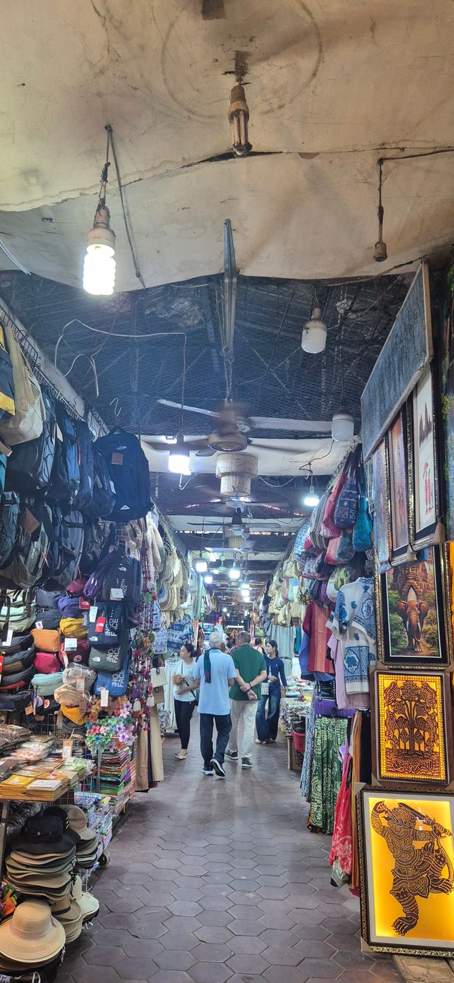 Der Frühe Vogel ist schnell müde