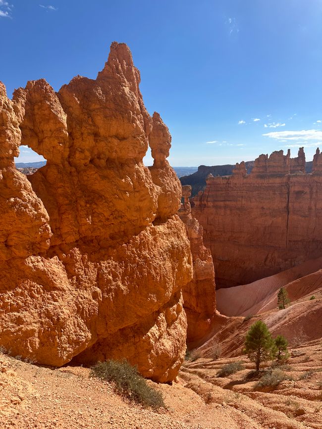 Canyon Land:Zion and  Bryce Canyon❤️