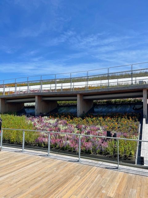 Expo 2025 Osaka