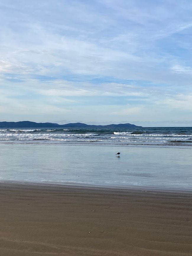 About the KariKari beach to Whangarei