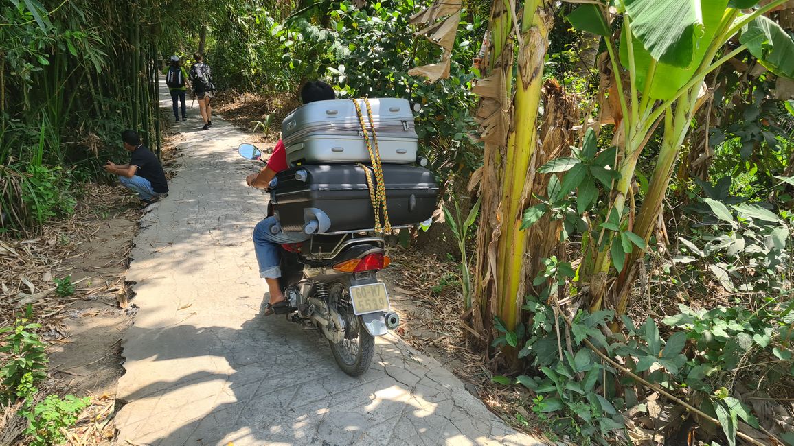 Saturday, March 2, 2024, Mekong Delta, bike tour (make Com, make farm with candles and roof leaves)