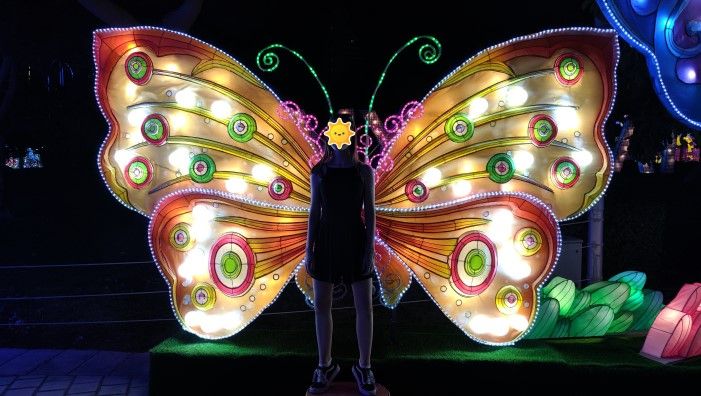 标签 11 (2019) 幻觉博物馆，迪拜框架，迪拜花园光彩与迪拜喷泉