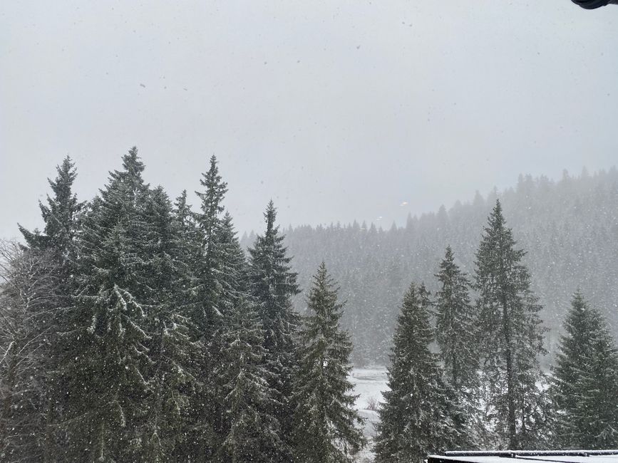 Morgens um sieben ist alles weiß