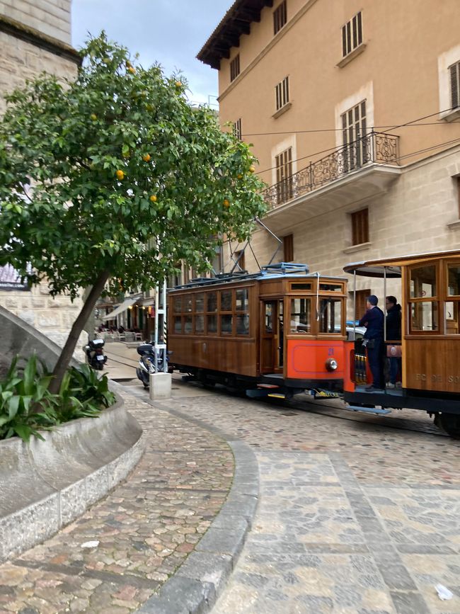In Soller …finde ich den Mann für‘s Leben