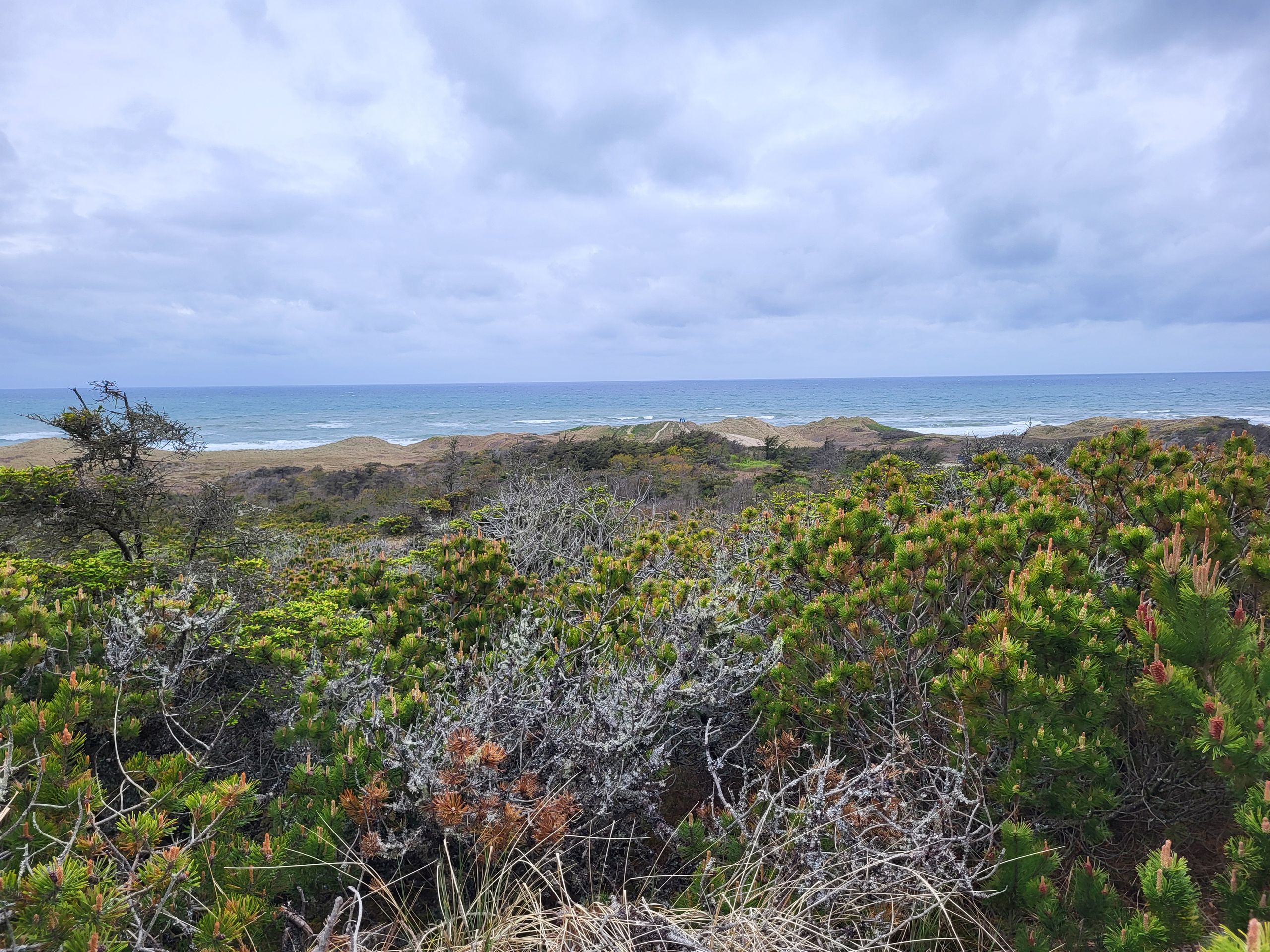 Thy National Park