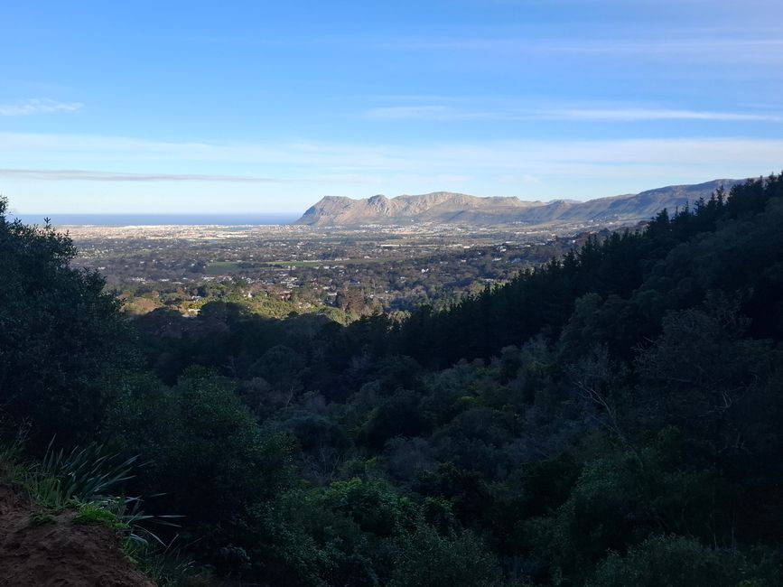Sendero Constantia y bosque de Newlands