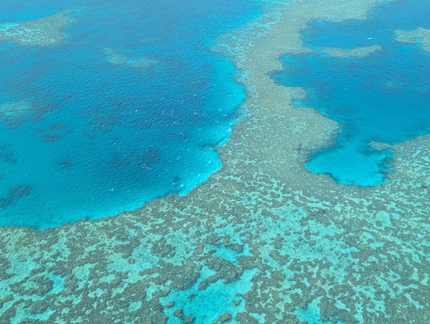 Up in the Air in Airlie