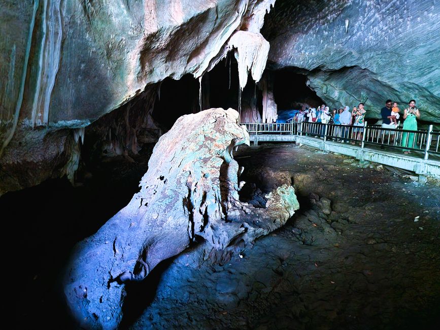 Kilim Forest Park
