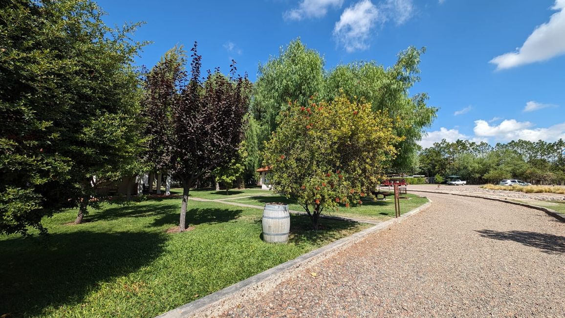 Région viticole Maipu/ Mendoza
