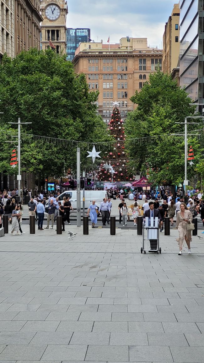 Merry Christmas (ob man will oder nicht) und mehr in Sydney