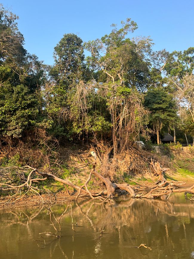 En el río Beni 