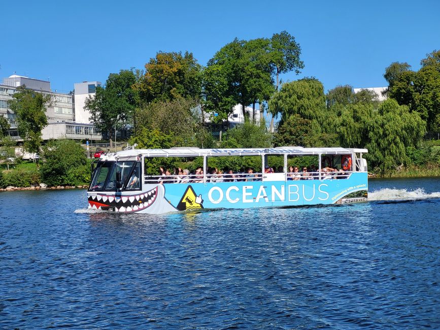 Ocean Bus