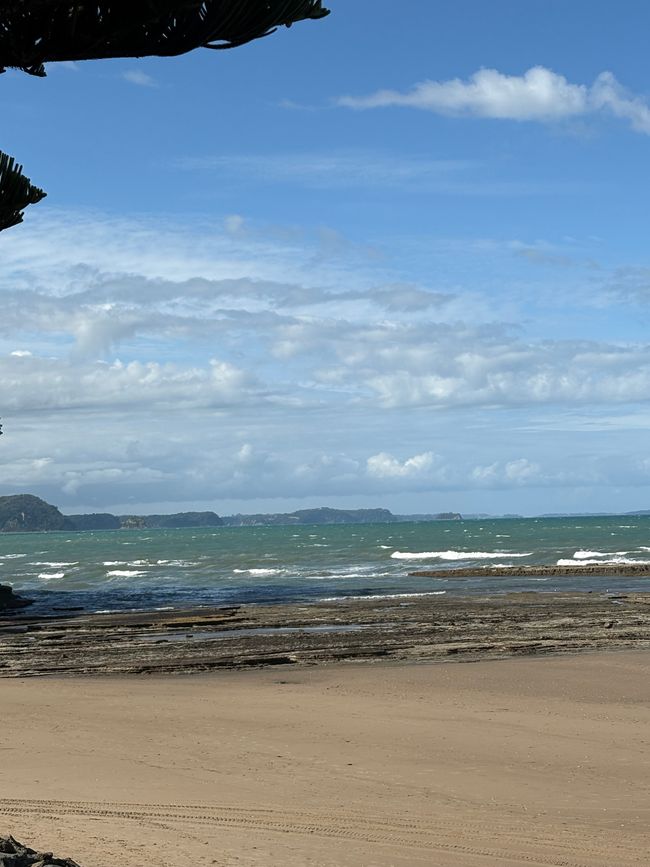The most famous beach and the bleakest campsite in New Zealand - 90 Mile Beach