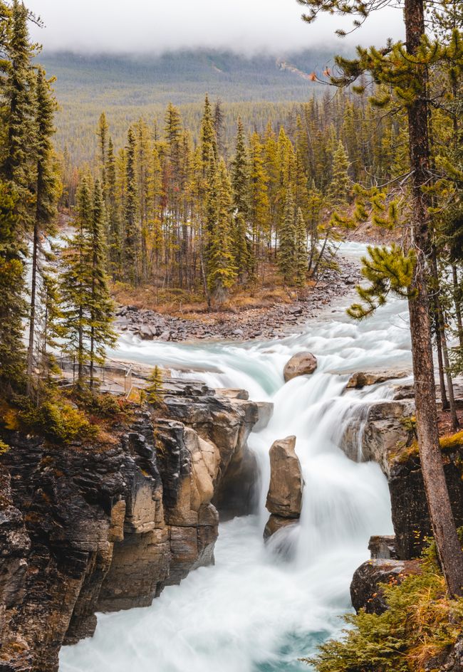 Autofahrt Lake Louise -> Jasper & de Waldbrand