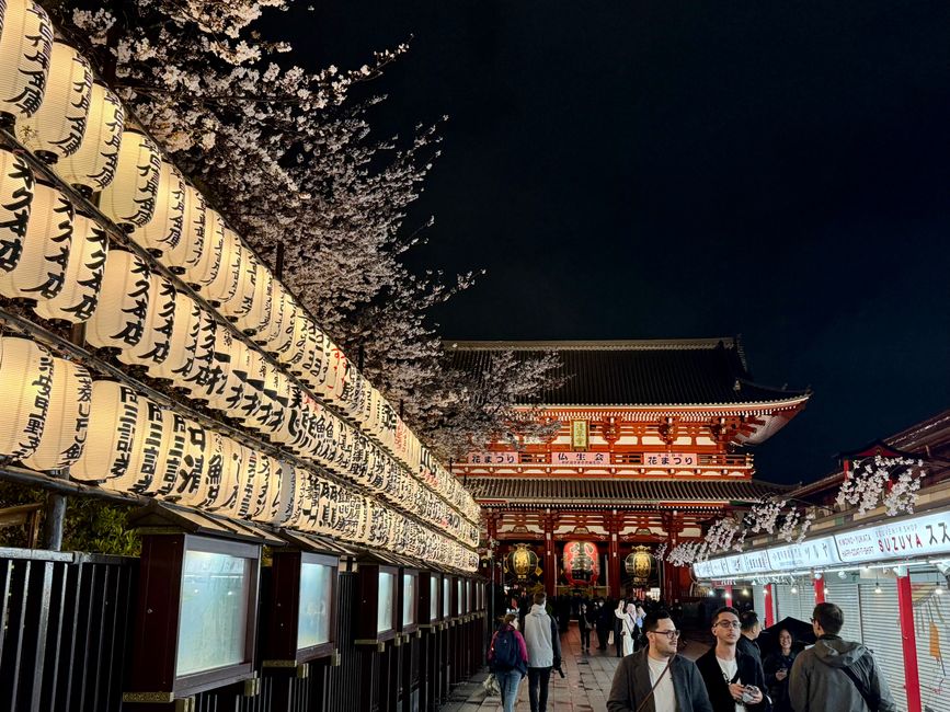 Parte 7
BENVENUTO IN GIAPPONE 🇯🇵
TOKYO