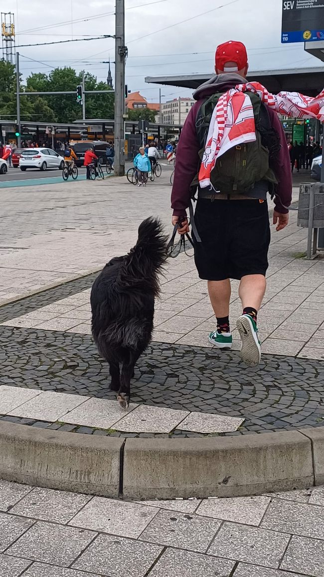 Die Geschichte, 60 Piroggen und 1000 Mücken