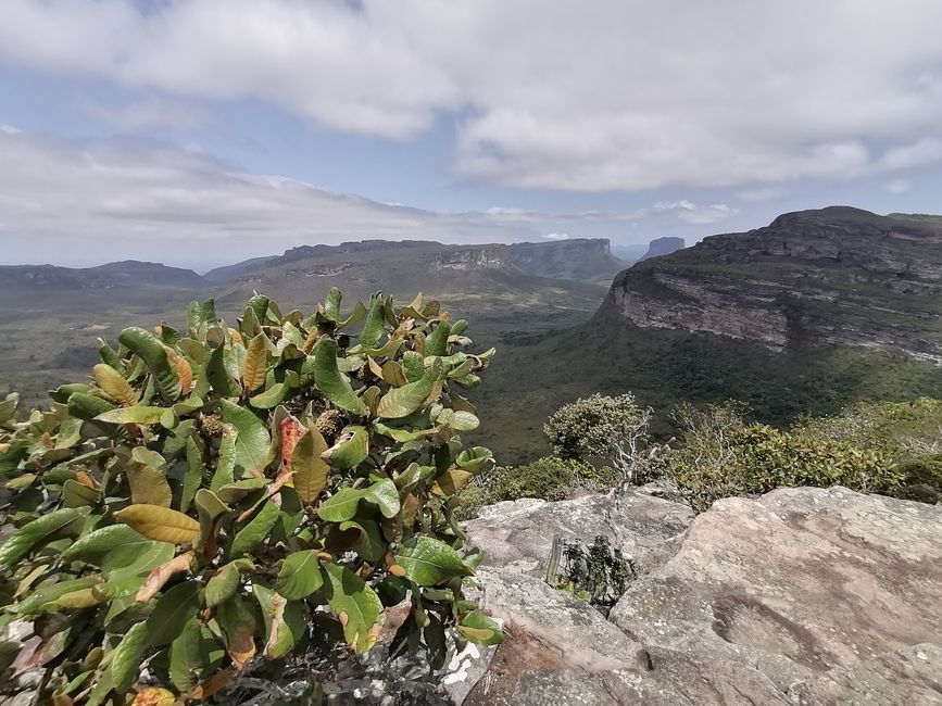 Brasilien, auf dem Weg zum Nationalpark Diamante