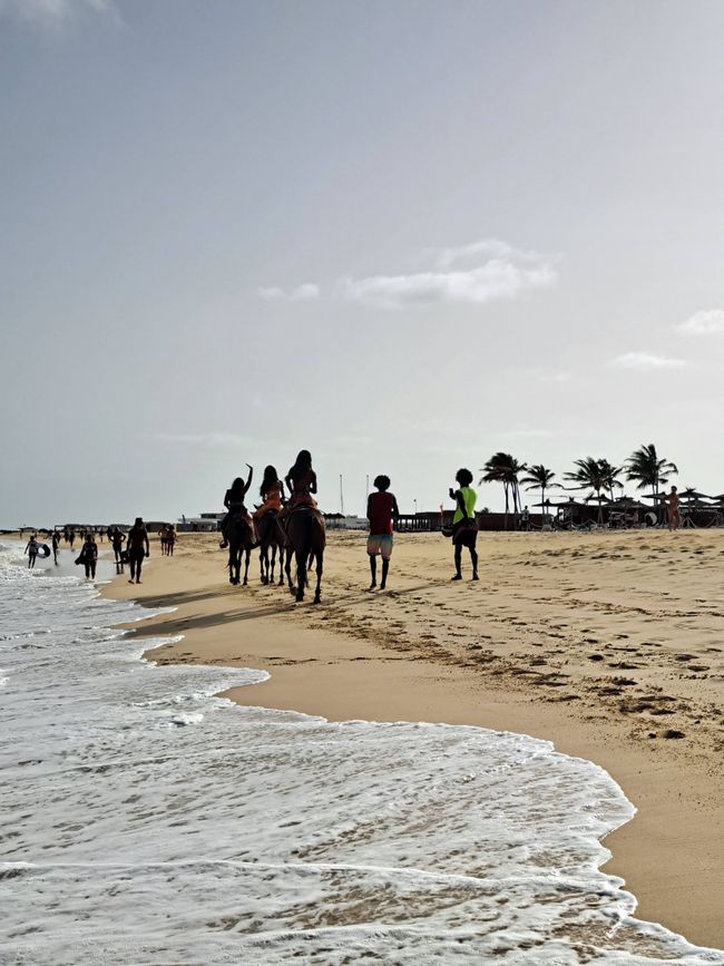 Sal (Cape Verde)