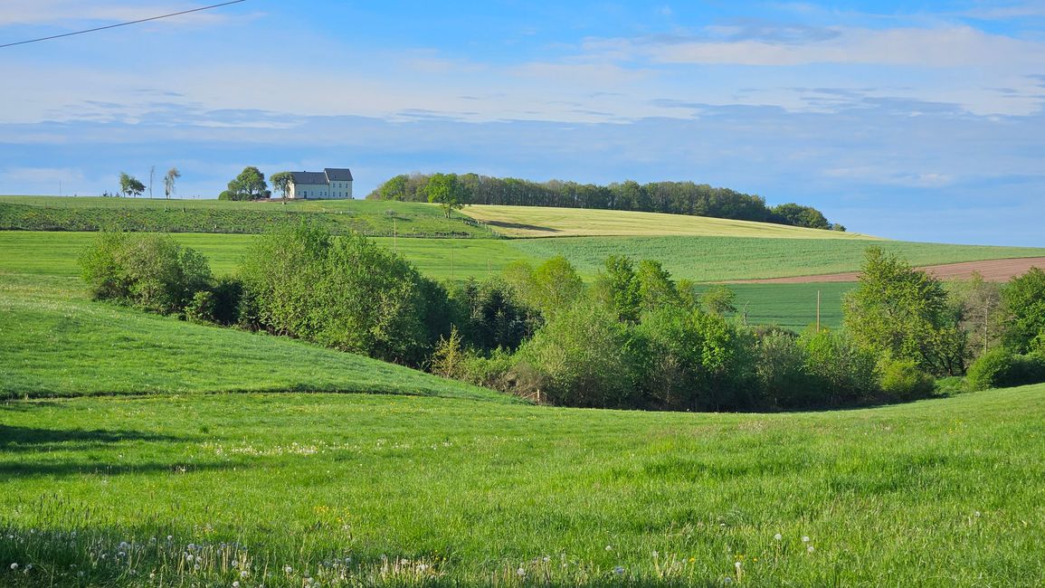 Üttfeld