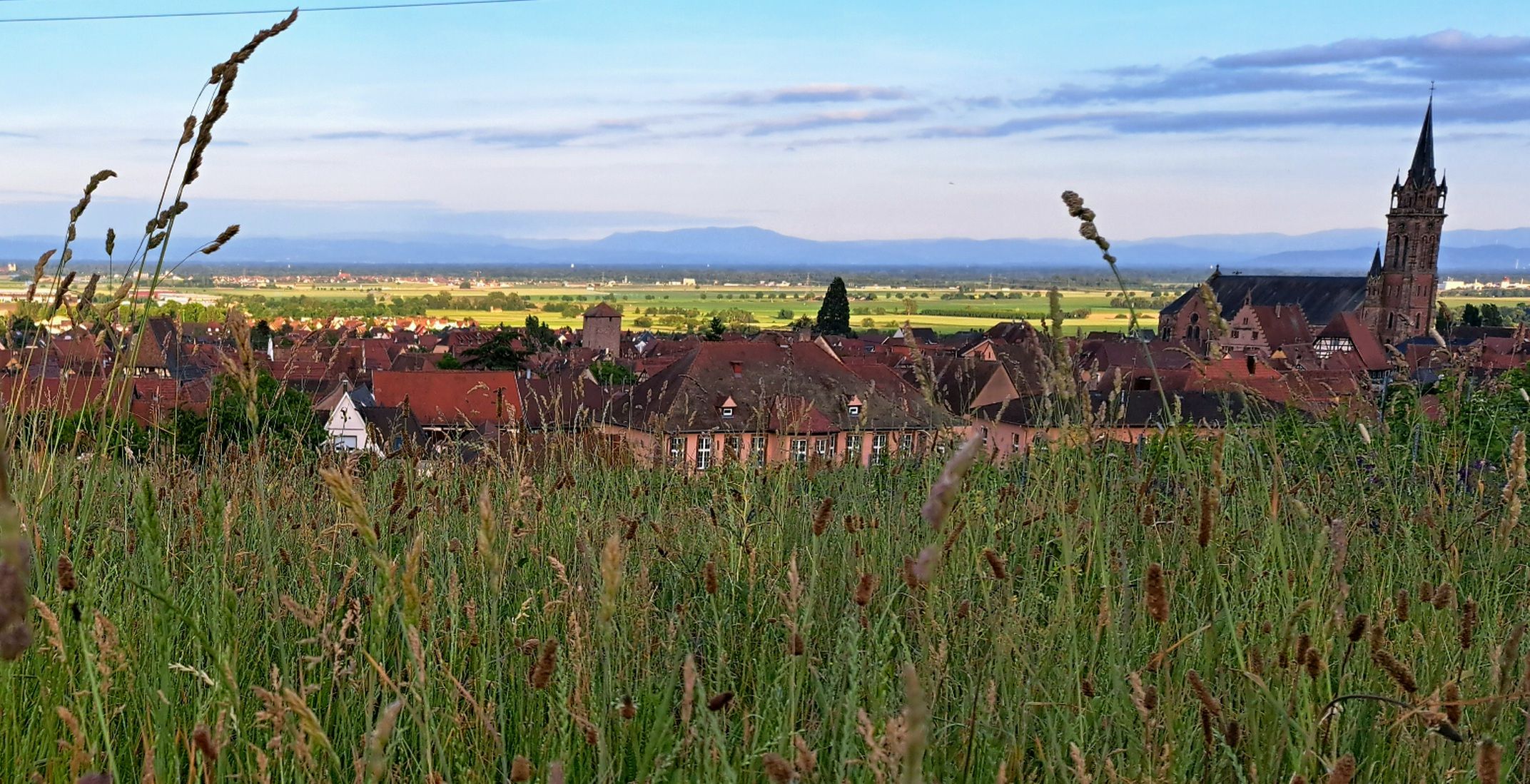 Matin en Alsace