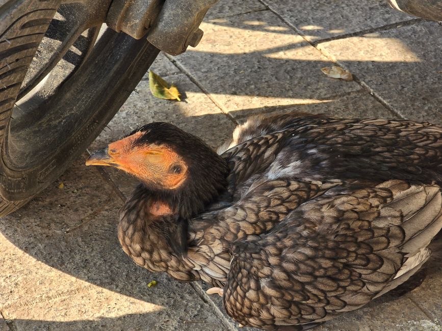 Hanoi, ein Blick zurück in Wehmut