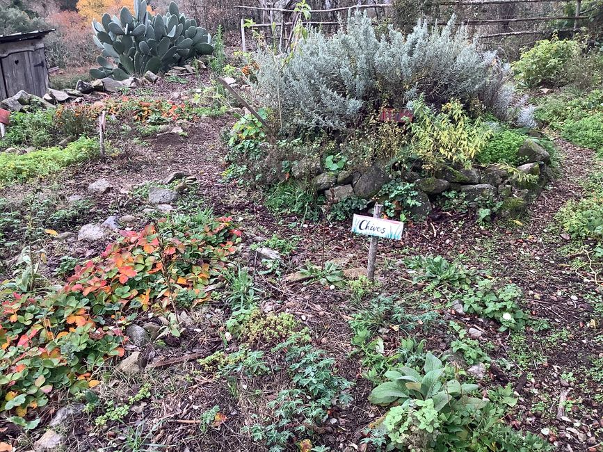 Kräutergarten