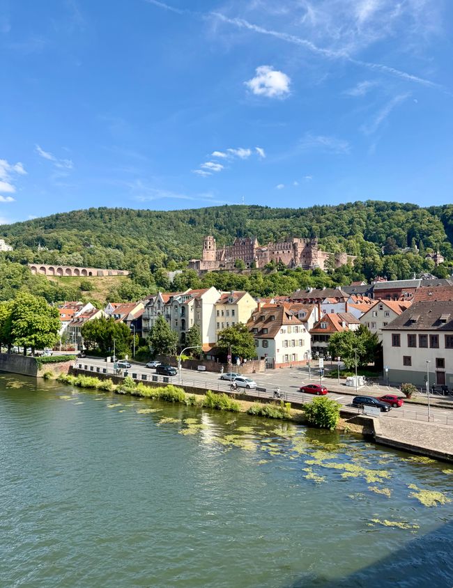 📍Heidelberg