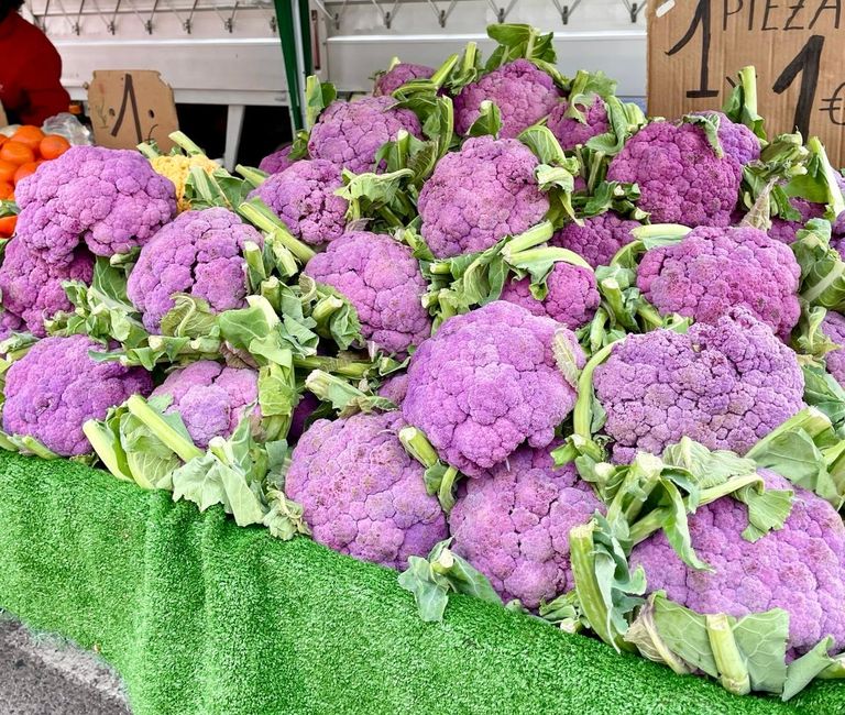 Today we saw purple cauliflower for the first time.
