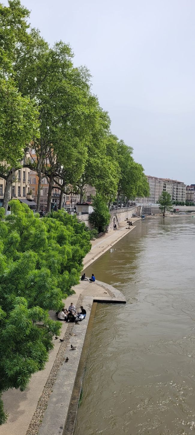 Lione
