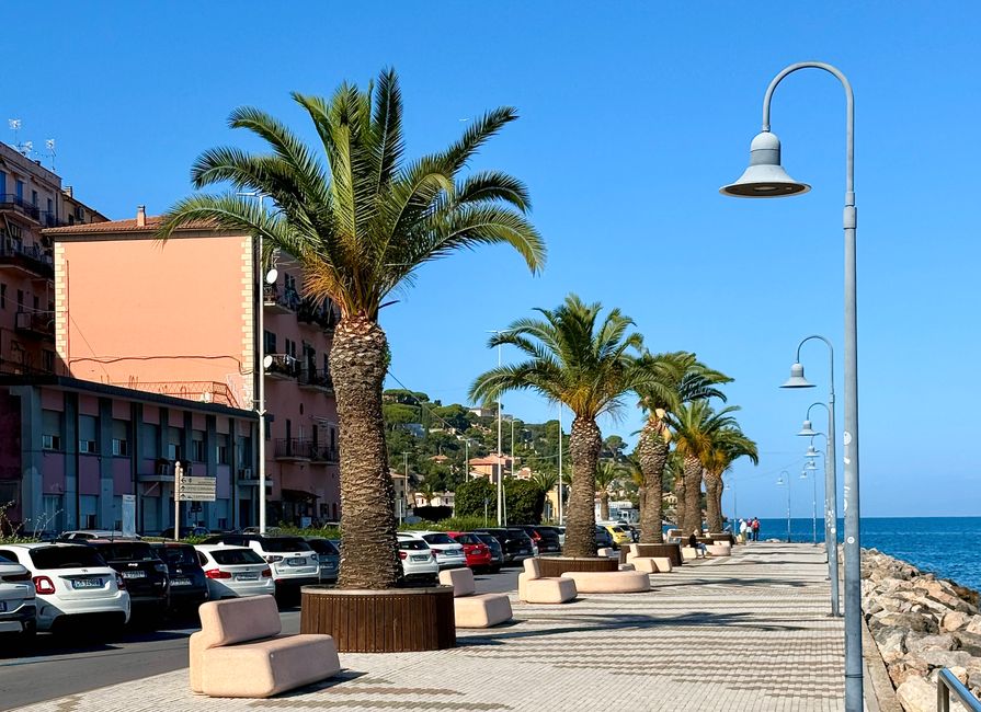 Eine Flaniermeile mit Palmen und Meer.