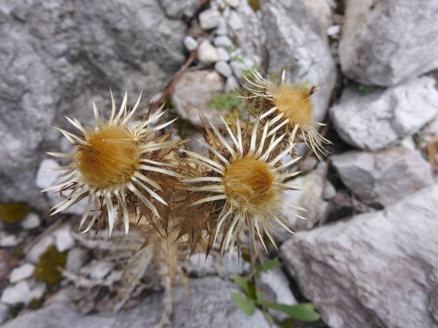 Albanien Teil 1
3.9.2024 
Von Durrës nach Valbone