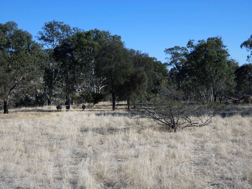 Tanunda, Barossa Valley