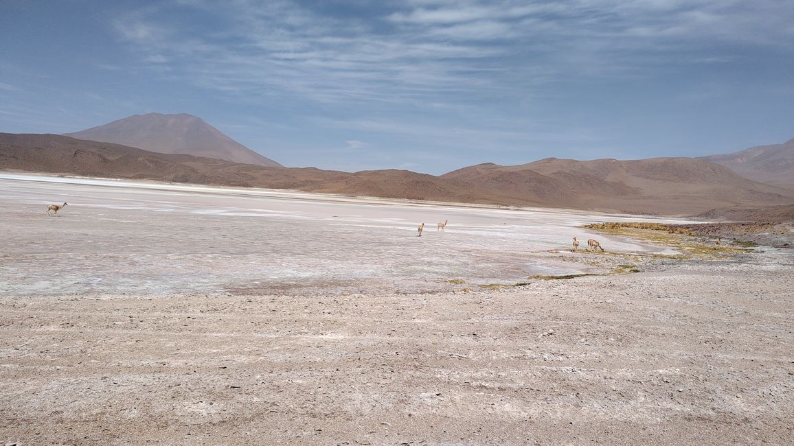 Bolivia, Tour de Lagunas