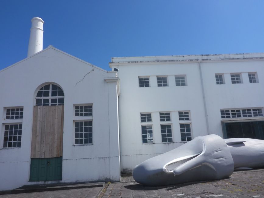 Walfischfabrik-Museum