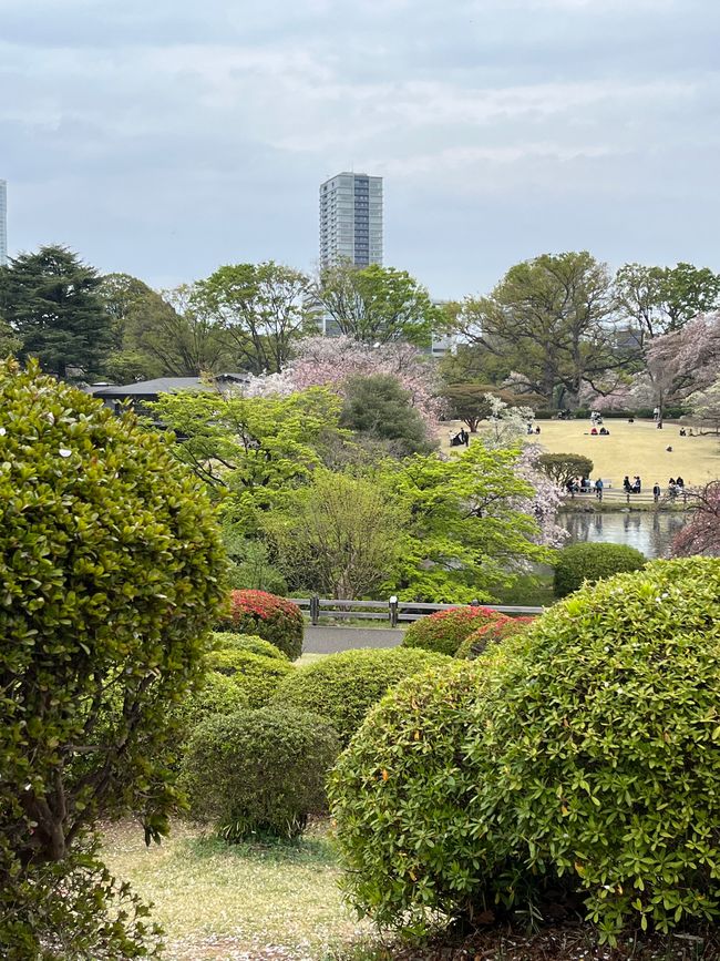 Shinjuku Gyoen Park